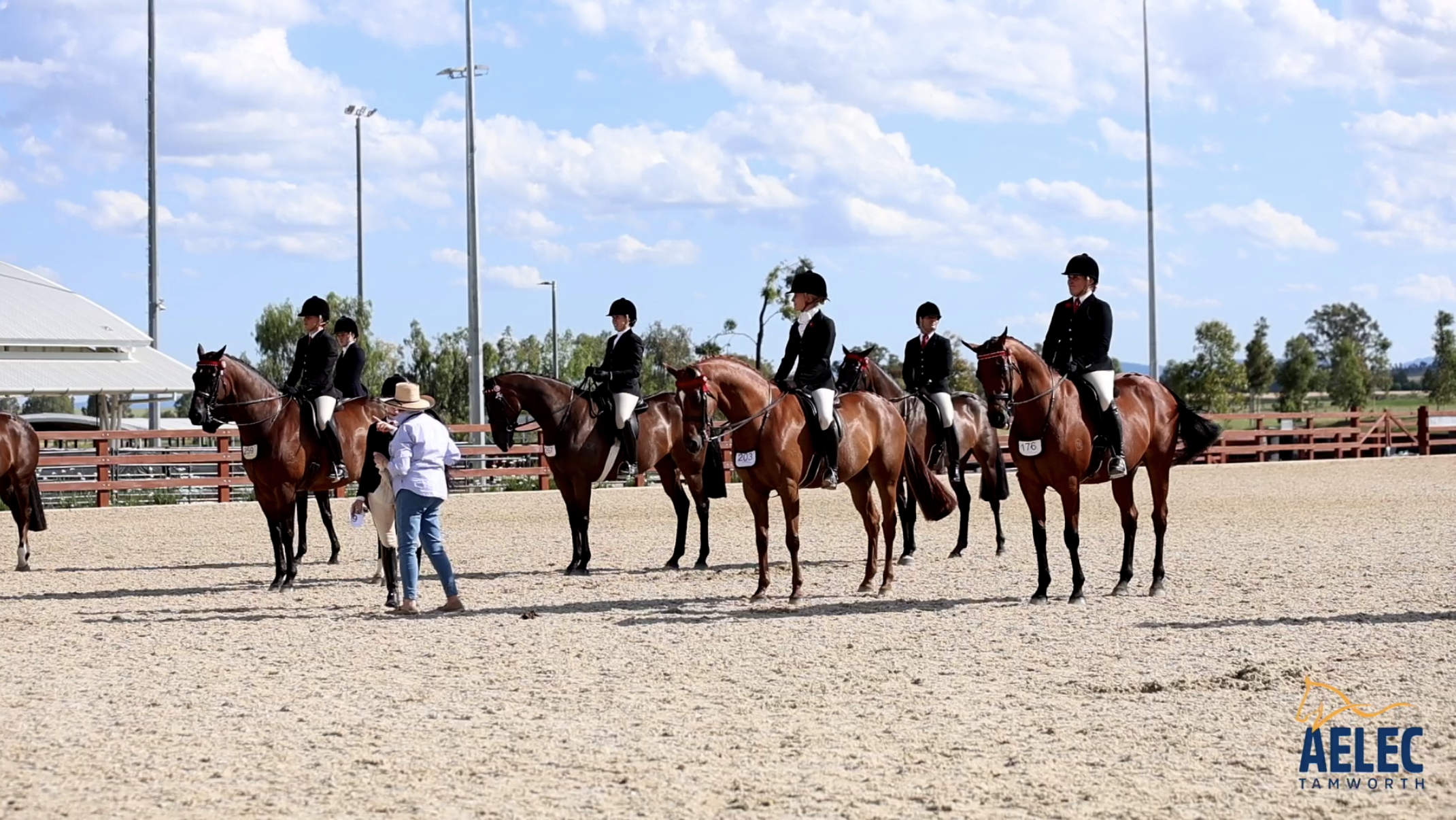 13_9852_13Mar2026111809_Show Horse Champs.png
